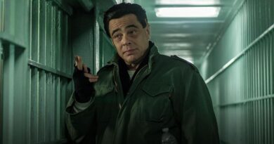 Benicio Del Toro w serialu „Protective Custody”